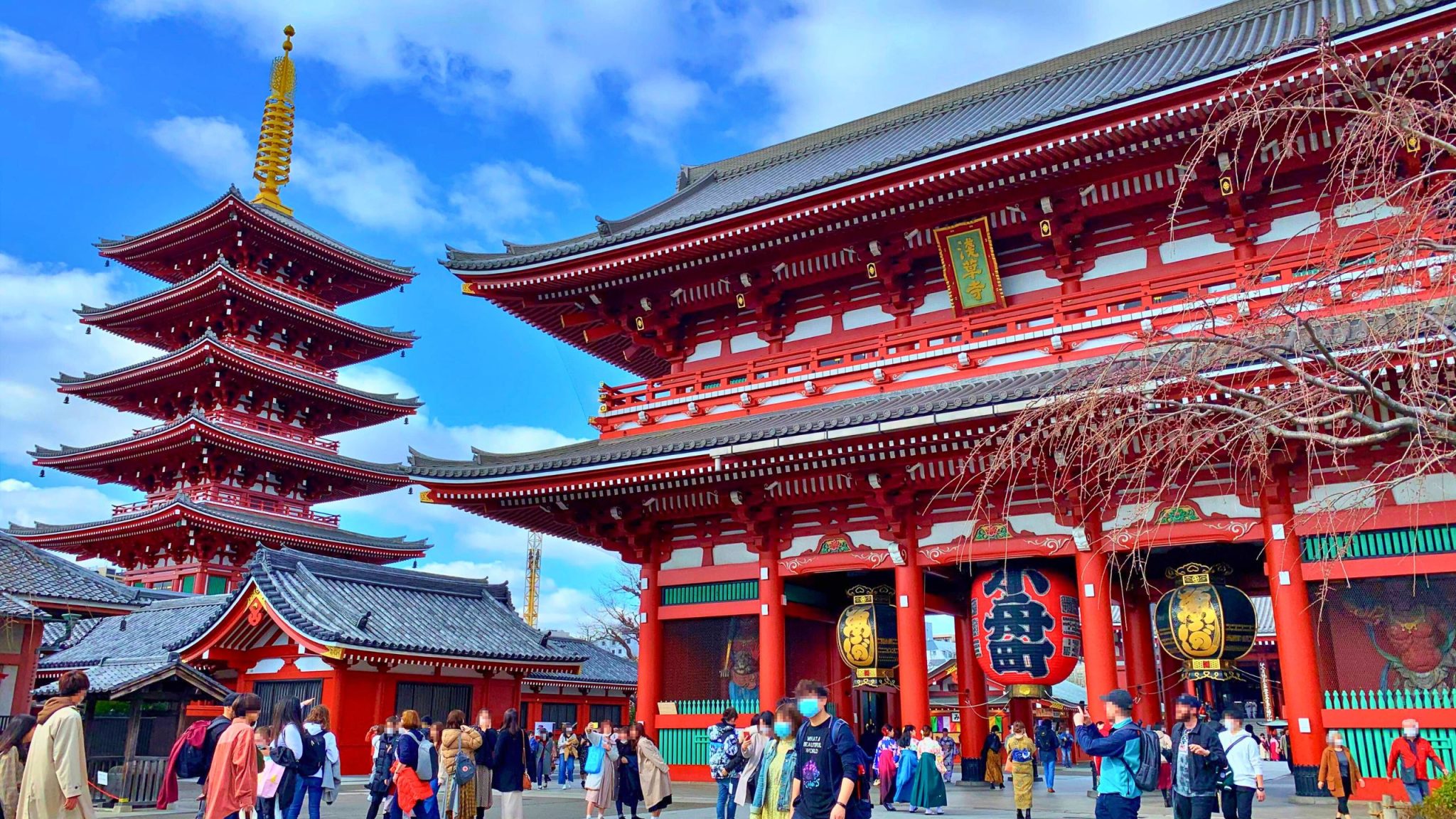 Senso-ji Temple, Tokyo Skytree & Neighborhood Walk