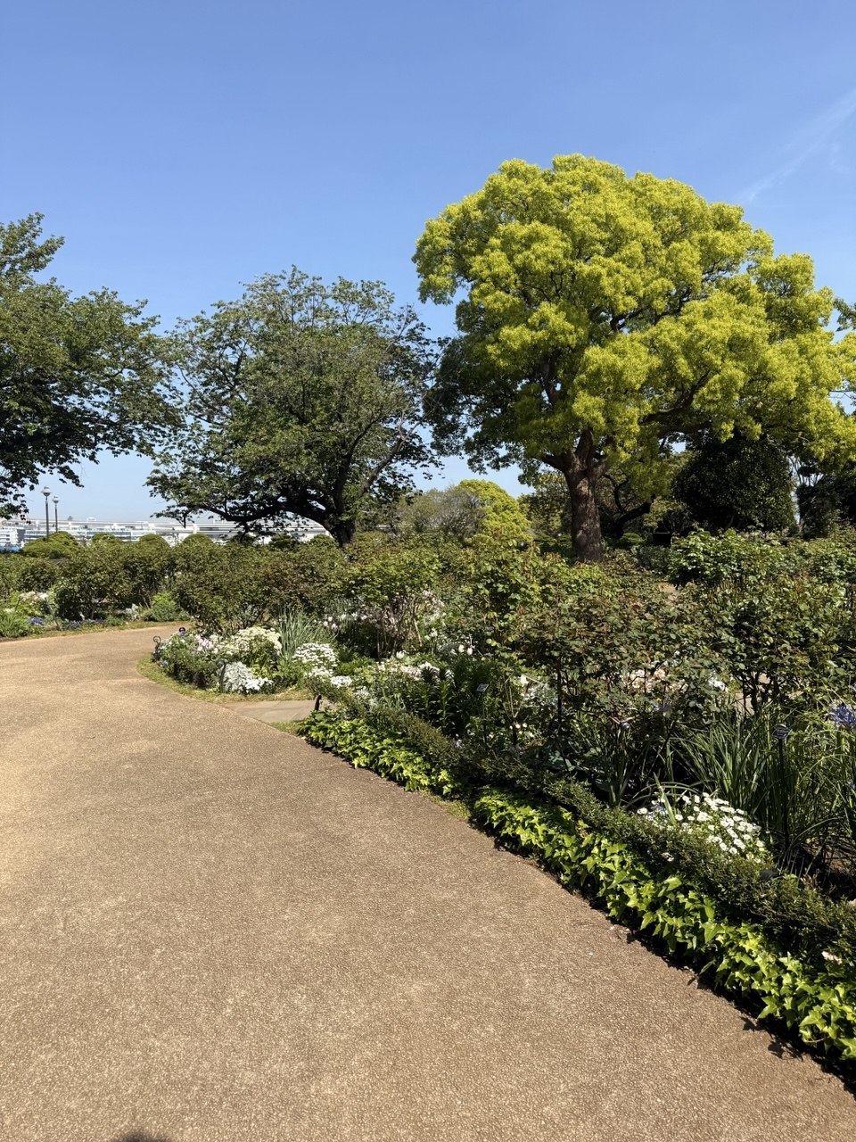Yokohama Half Day Walking Tour